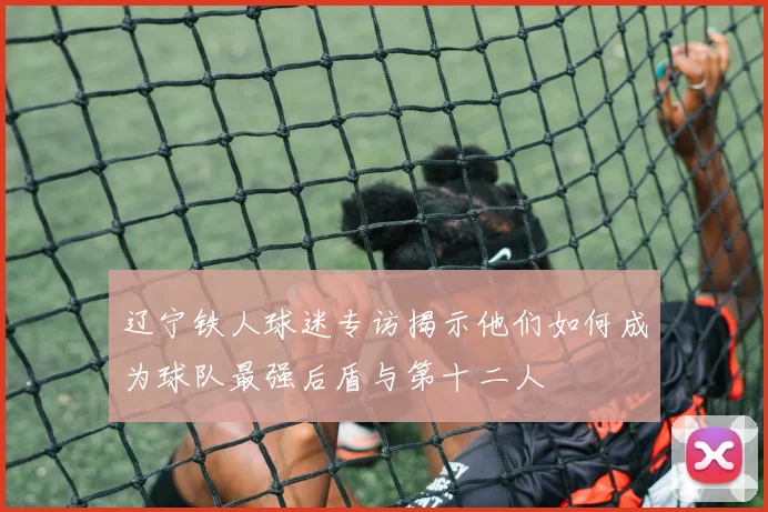 辽宁铁人球迷专访揭示他们如何成为球队最强后盾与第十二人