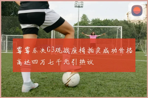霉霉东决G3观战座椅拍卖成功价格高达四万七千元引热议